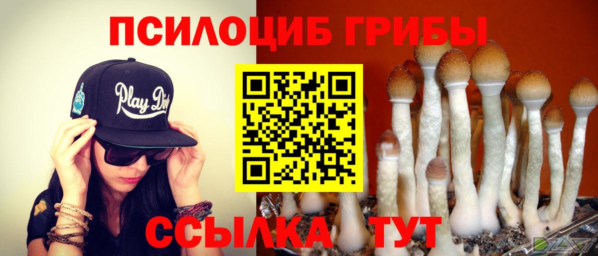 Псилоцибиновые грибы мухоморы Елец