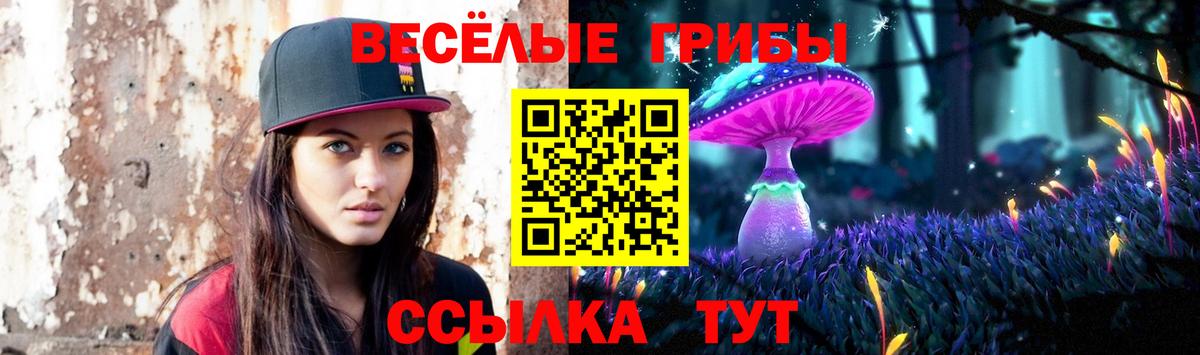 Галлюциногенные грибы Psilocybine cubensis  Псилоцибиновые грибы MAGIC MUSHROOMS  Елец  Вход с VPN 